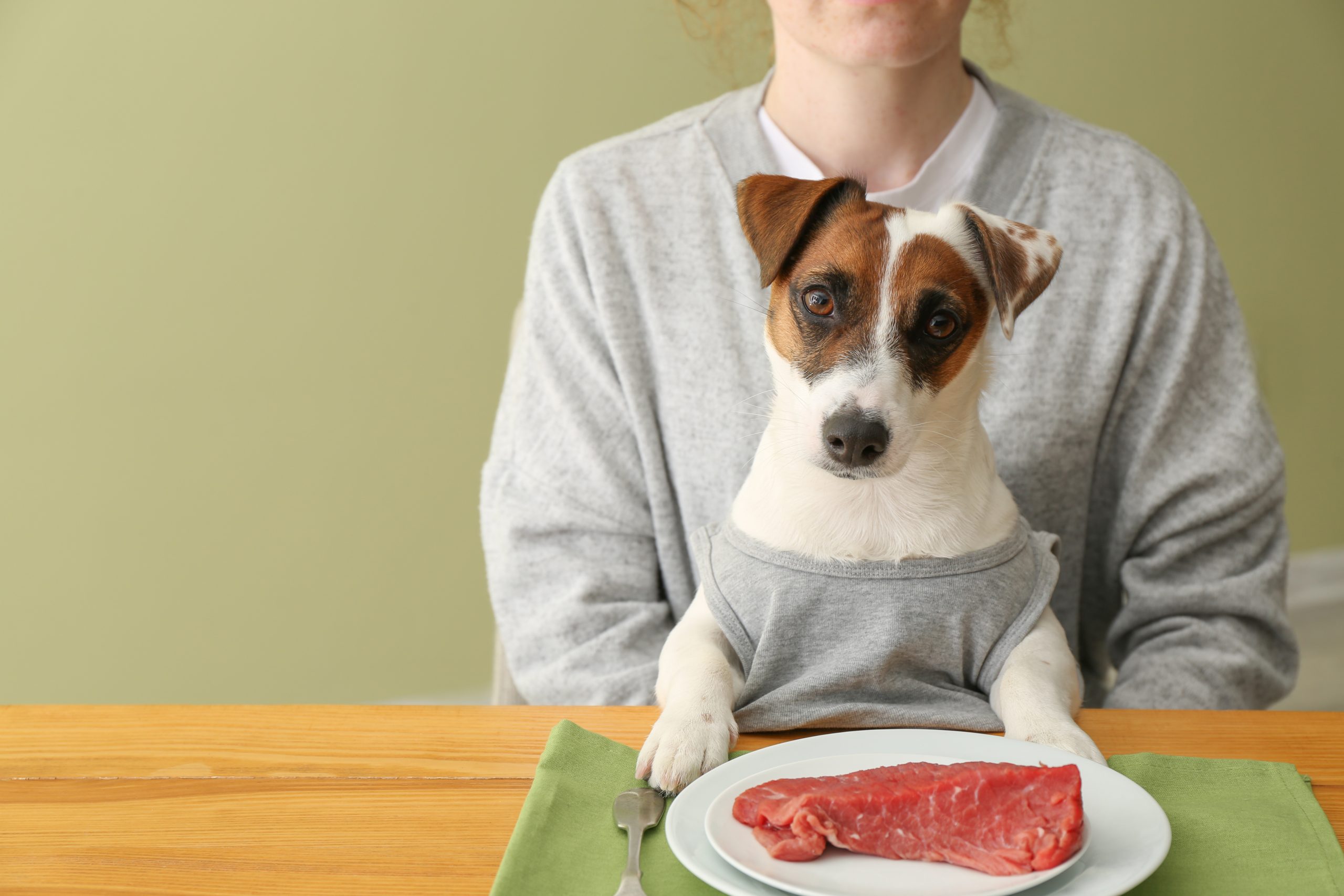 Should I Feed My Pet a Raw Diet?